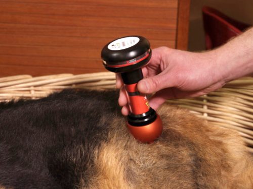 Energy-Laser L2000 Pro lágylézer