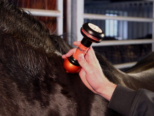 Energy-Laser L2000 Pro lágylézer