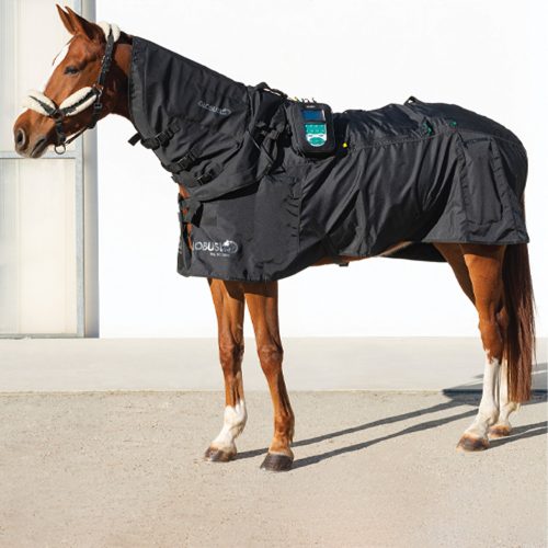 MagnetoVet 4000 Horse Pro Kit mágnesterápiás készlet lovak kezelésére