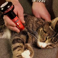 Állatgyógyászati lézer