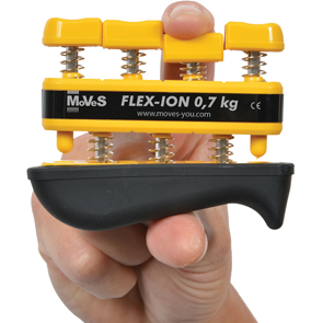 Flex-Ion-gyakorlat-2.jpg